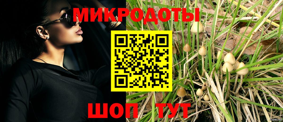 Галлюциногенные грибы прущие грибы Строитель