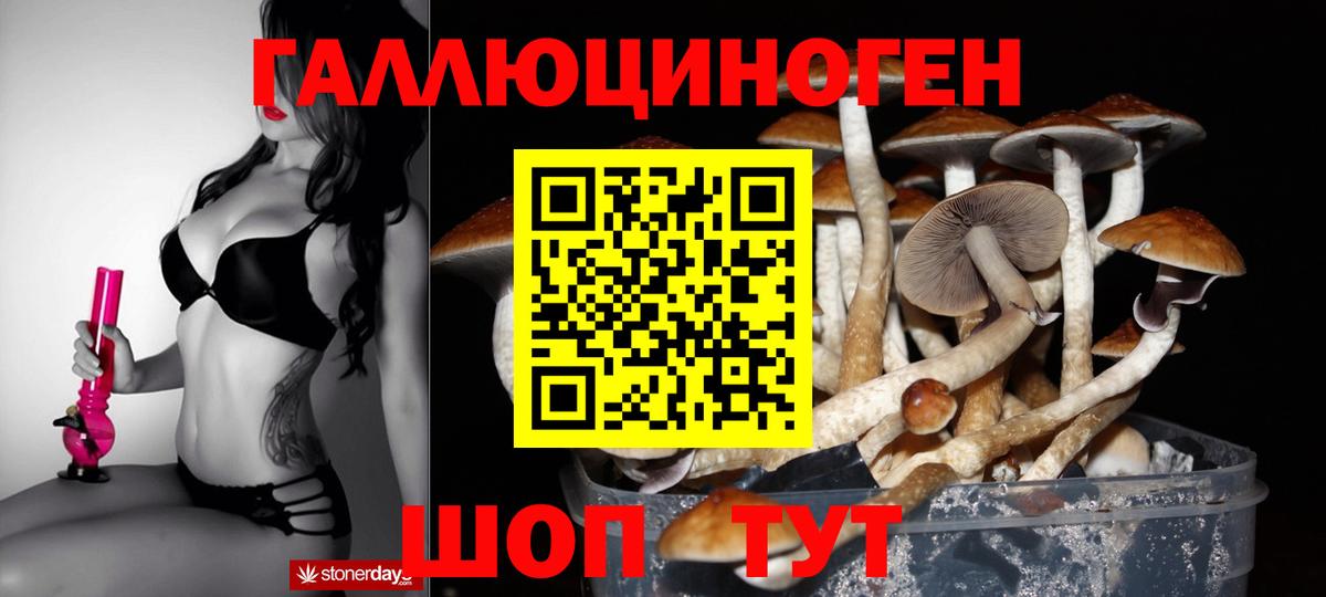 Строитель  Галлюциногенные грибы мухоморы  продажа наркотиков  Вход с VPN 